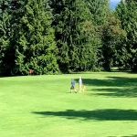 social-golf-group-walking-fairway-kensington-park